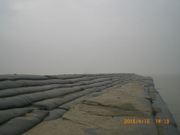 共同进步，共同成长