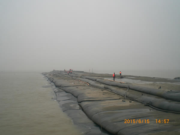 共同进步，共同成长